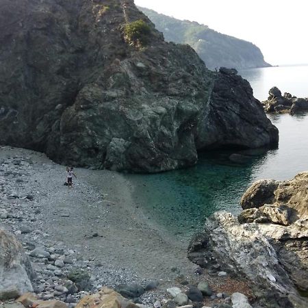 Casa Cinzia Bonassola Cinque Terre Lejlighed Eksteriør billede
