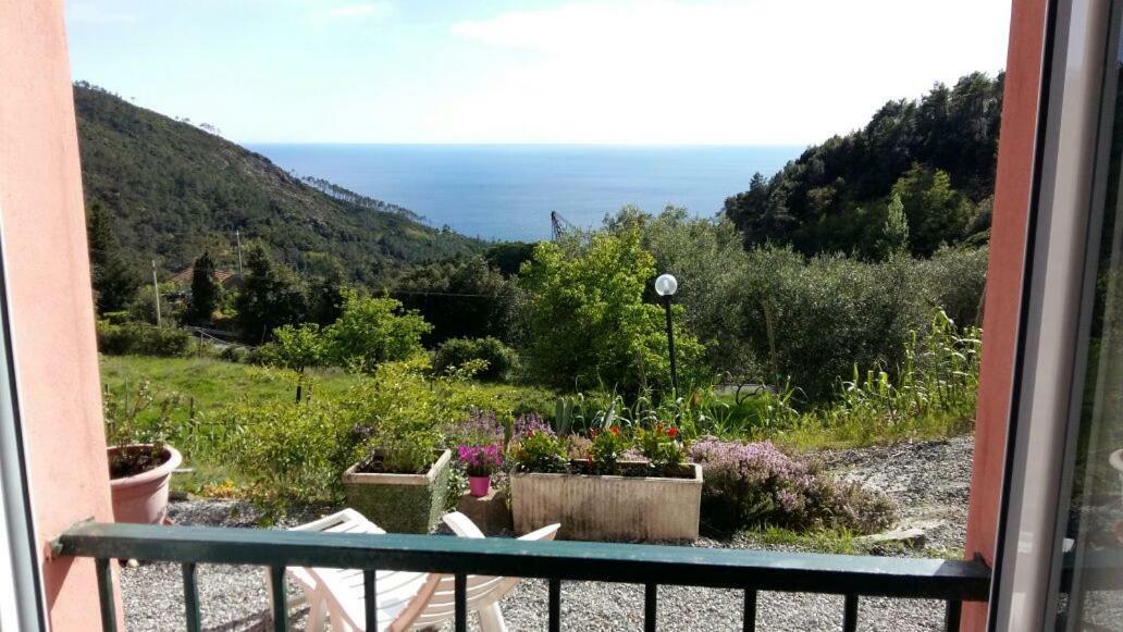 Casa Cinzia Bonassola Cinque Terre Lejlighed Eksteriør billede