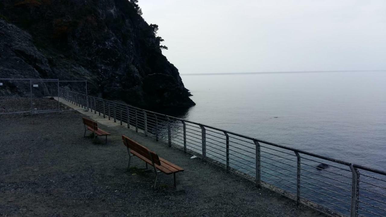 Casa Cinzia Bonassola Cinque Terre Lejlighed Eksteriør billede